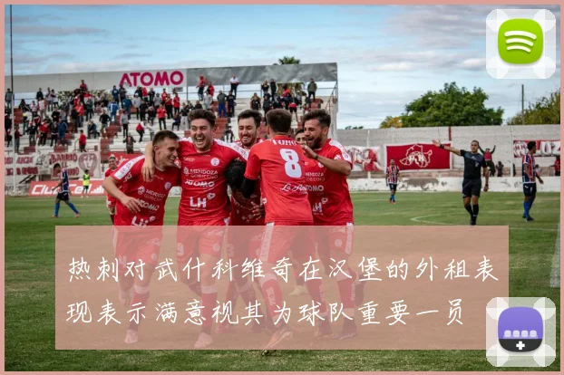 热刺对武什科维奇在汉堡的外租表现表示满意视其为球队重要一员