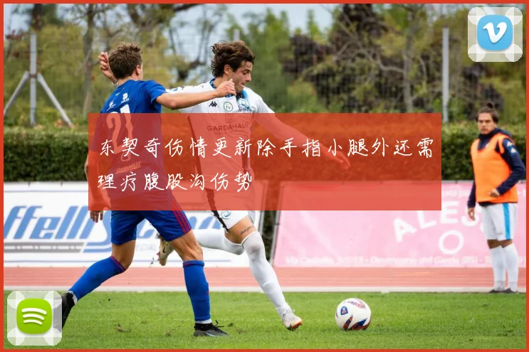 东契奇伤情更新除手指小腿外还需理疗腹股沟伤势