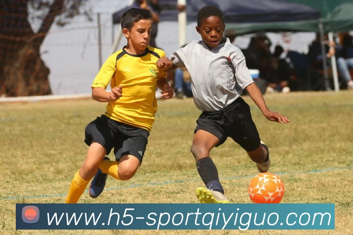 多媒体互动体验